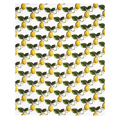 SCHUMACHER  JOHNSON HARTIG LE CITRON PRINTS PRINTS IVORY   - 180630