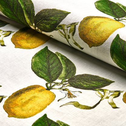 SCHUMACHER  JOHNSON HARTIG LE CITRON PRINTS PRINTS IVORY   - 180630
