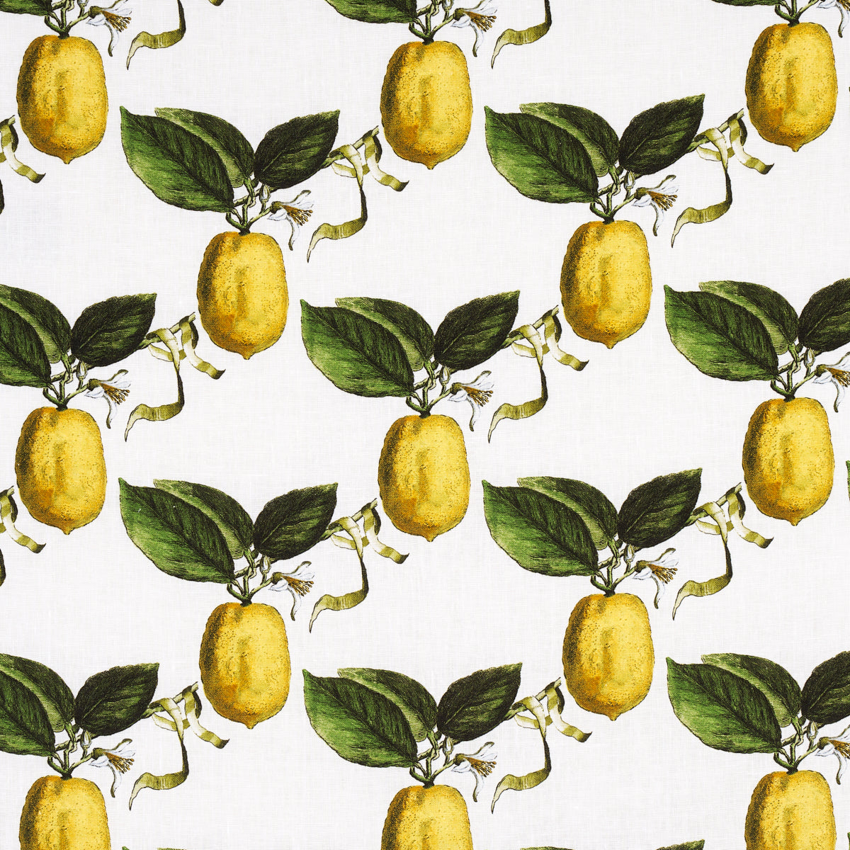 SCHUMACHER  JOHNSON HARTIG LE CITRON PRINTS PRINTS IVORY   - 180630