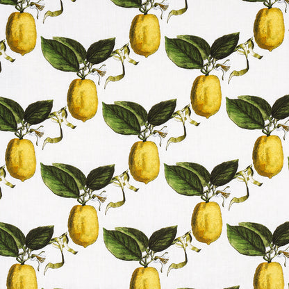 SCHUMACHER  JOHNSON HARTIG LE CITRON PRINTS PRINTS IVORY   - 180630