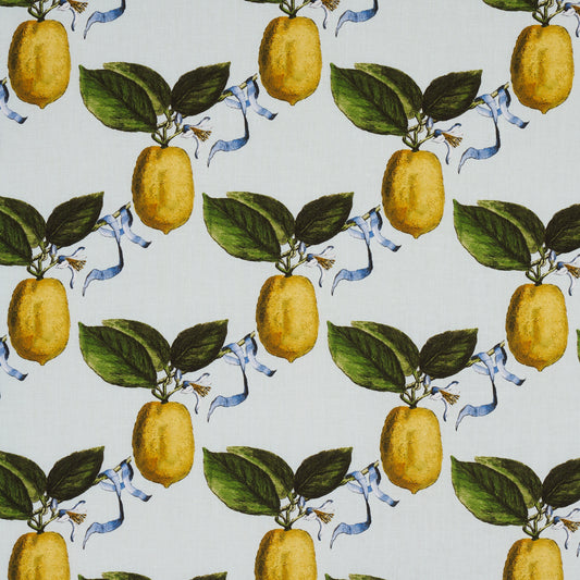 SCHUMACHER  JOHNSON HARTIG LE CITRON PRINTS PRINTS SKY   - 180631