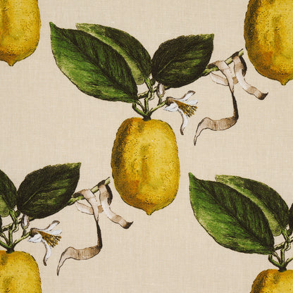 SCHUMACHER FABRIC  JOHNSON HARTIG LE CITRON   NATURAL   - 180632
