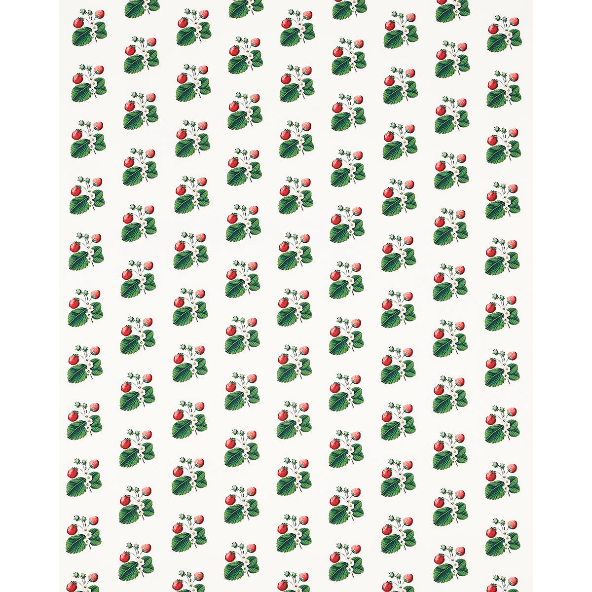 SCHUMACHER  JOHNSON HARTIG STRAWBERRY HILL PRINTS PRINTS WHITE   - 180640