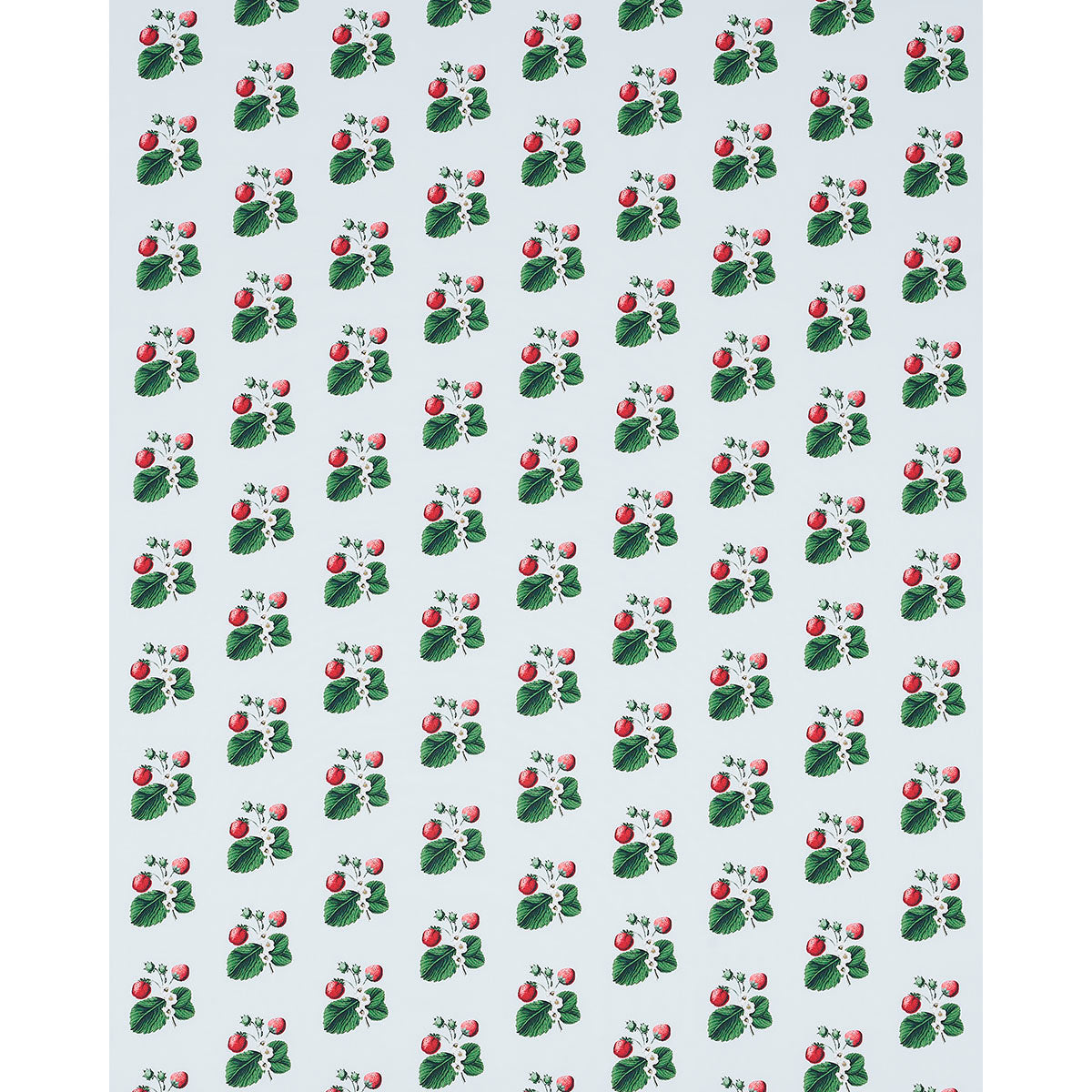 SCHUMACHER  JOHNSON HARTIG STRAWBERRY HILL PRINTS PRINTS SKY   - 180641