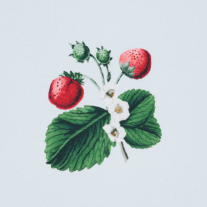 SCHUMACHER  JOHNSON HARTIG STRAWBERRY HILL PRINTS PRINTS SKY   - 180641