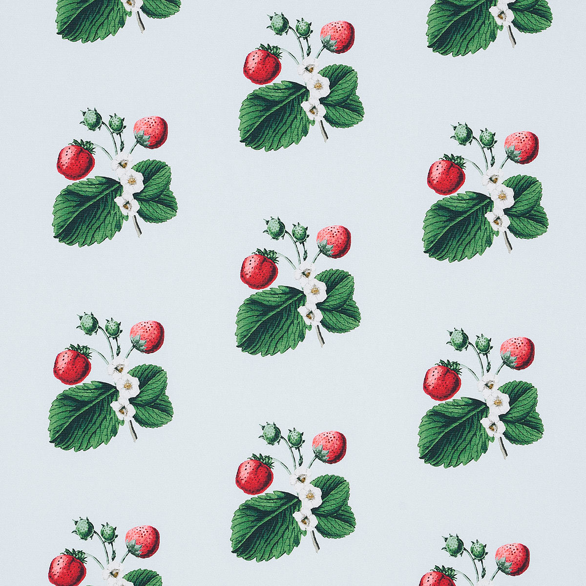 SCHUMACHER  JOHNSON HARTIG STRAWBERRY HILL PRINTS PRINTS SKY   - 180641