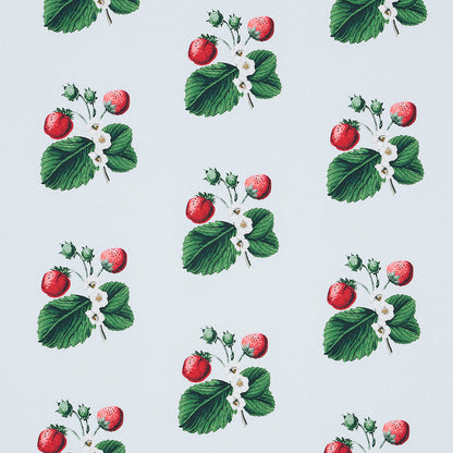 SCHUMACHER  JOHNSON HARTIG STRAWBERRY HILL PRINTS PRINTS SKY   - 180641