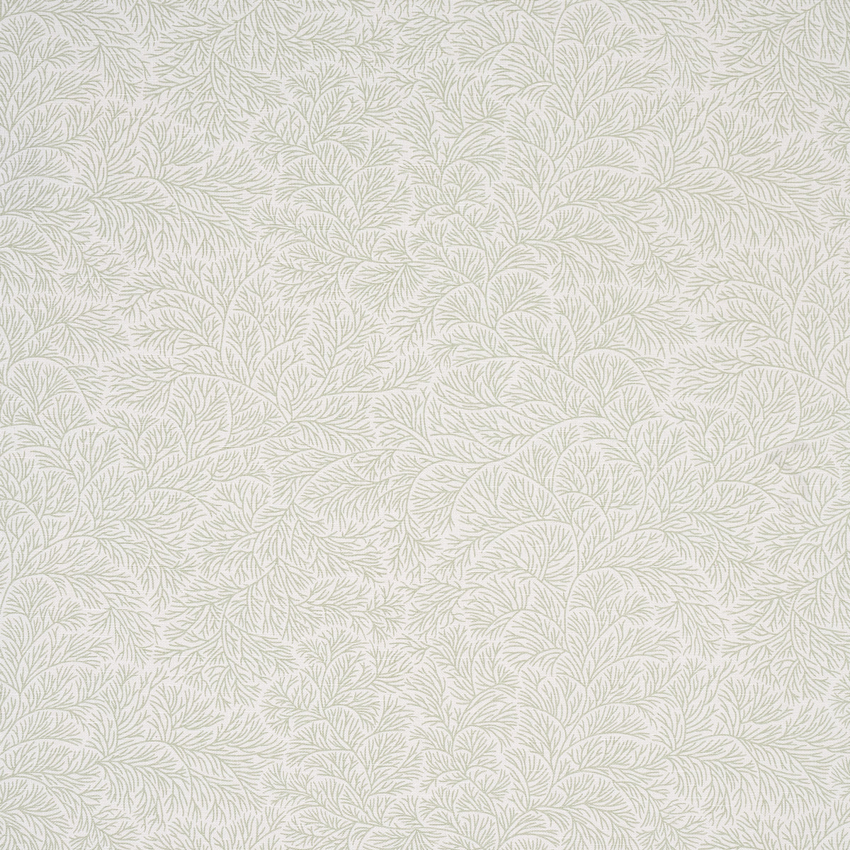 SCHUMACHER  MARK D. SIKES BOUGAINVILLEA PRINTS PRINTS LEAF GREEN   - 180701