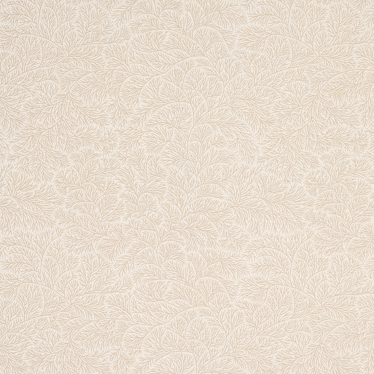 SCHUMACHER  MARK D. SIKES BOUGAINVILLEA PRINTS PRINTS NEUTRAL   - 180702