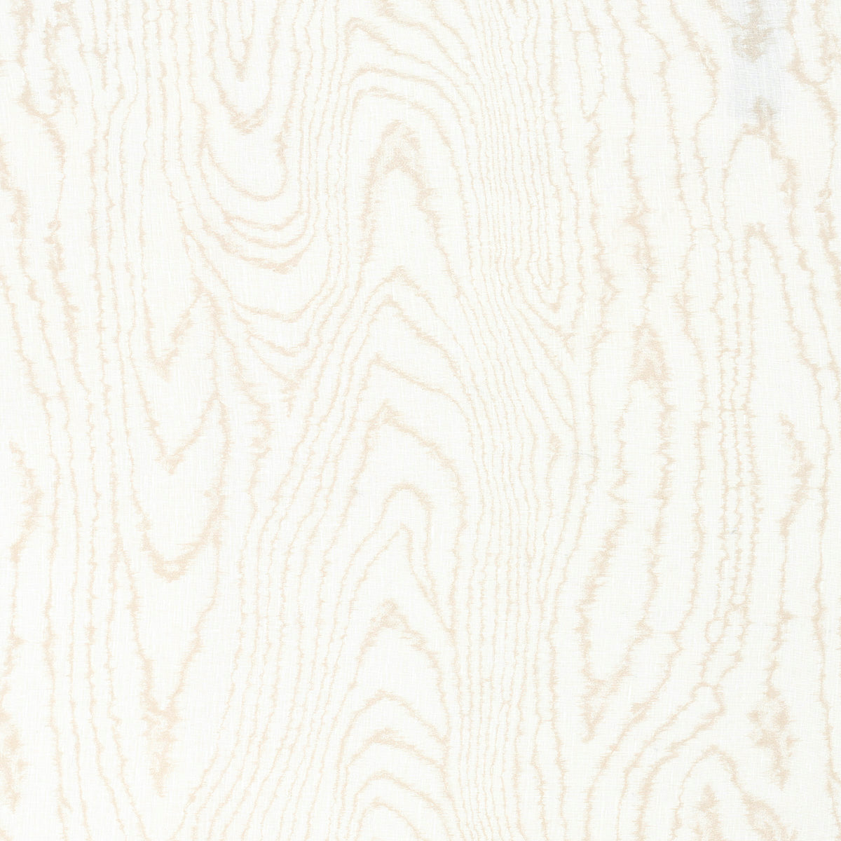 Cream woodgrain texture with subtle beige lines; birch-inspired faux Bois woodgrain pattern.