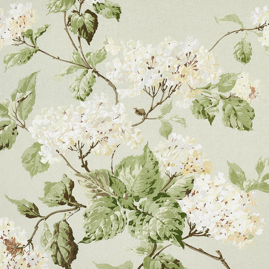 SCHUMACHER  NEW OLD-FASHIONED SUMMER HYDRANGEA PRINTS PRINTS CELADON   - 180820