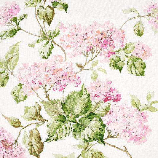 SCHUMACHER  NEW OLD-FASHIONED SUMMER HYDRANGEA PRINTS PRINTS BLUSH   - 180821