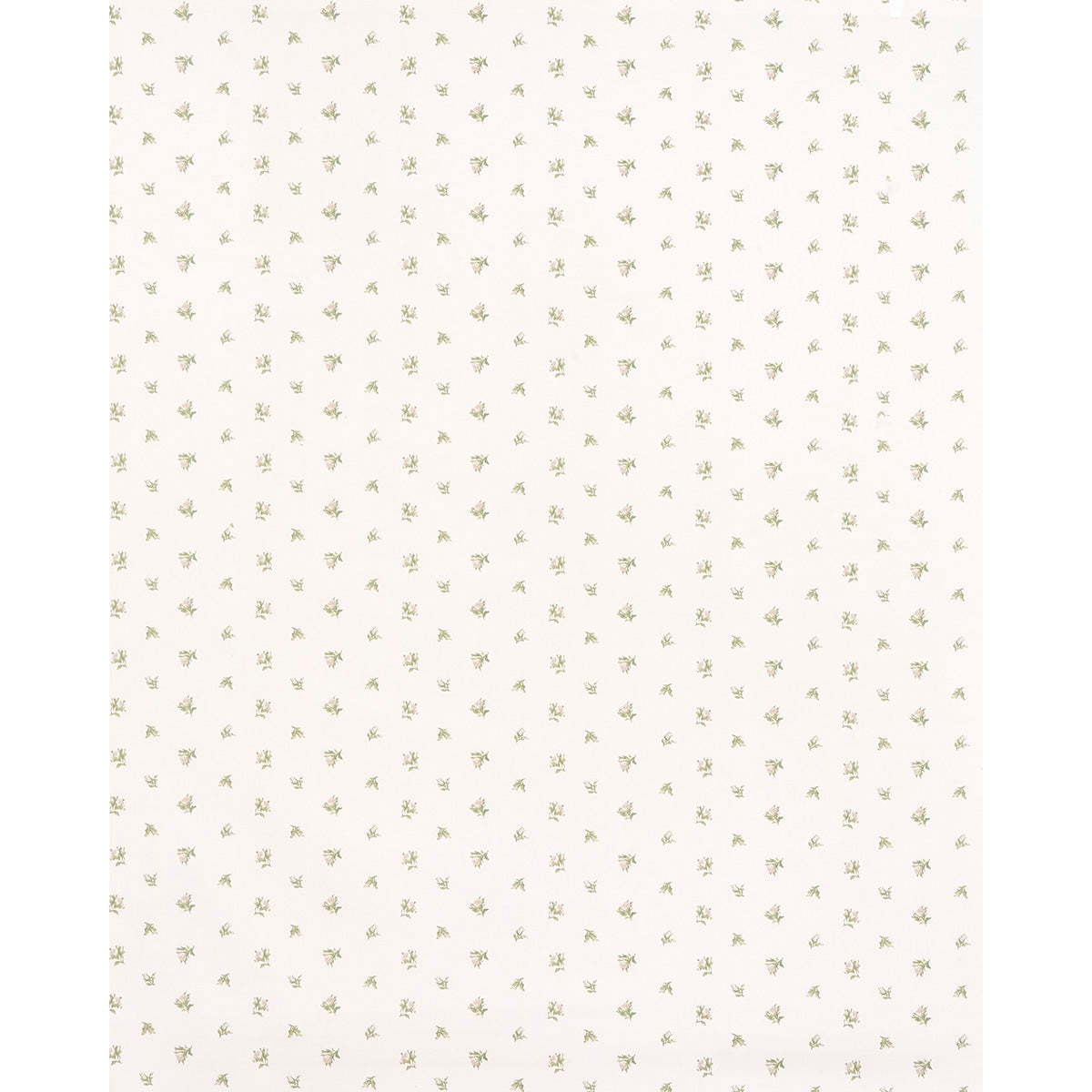 SCHUMACHER  NEW OLD-FASHIONED MARGIE FLORAL   Gris   - 180842