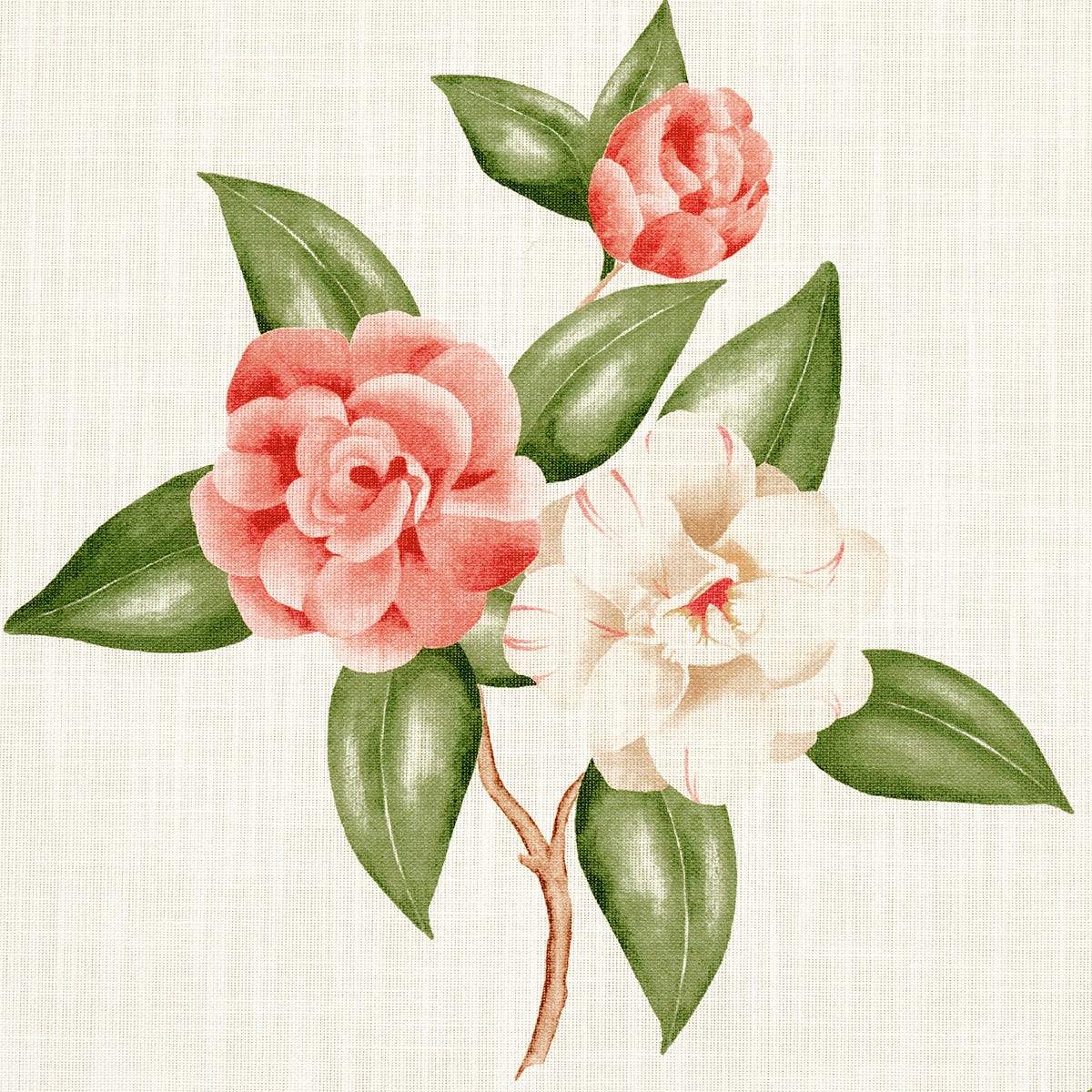 SCHUMACHER  SWING TIME INDOOR/OUTDOOR CASABLANCA FLORAL INDOOR/OUTDOOR PRINTS,HIGH PERFORMANCE,INDOOR/OUTDOOR PRINTS,HIGH PERFORMANCE,INDOOR/OUTDOOR CORAL   - 180911