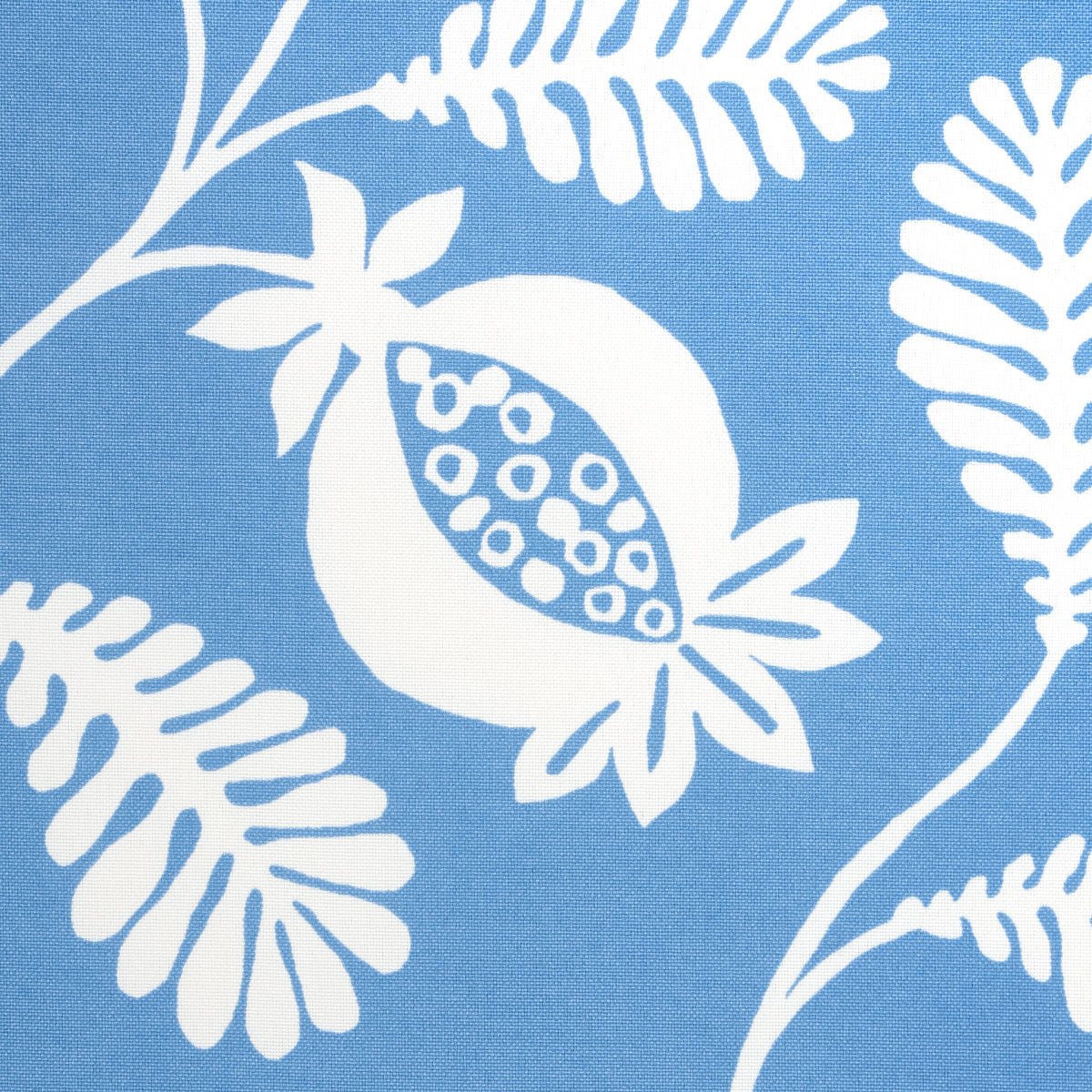 SCHUMACHER  INDOOR/OUTDOOR PRINTS LANZADERA VINE INDOOR/OUTDOOR   Ocean   - 180990