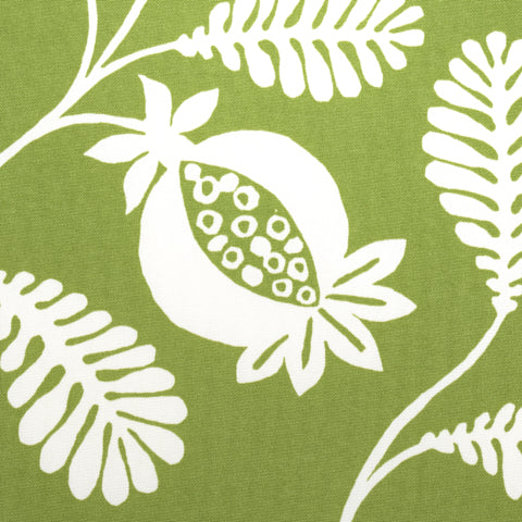 SCHUMACHER  INDOOR/OUTDOOR PRINTS LANZADERA VINE INDOOR/OUTDOOR   Honeydew   - 180991