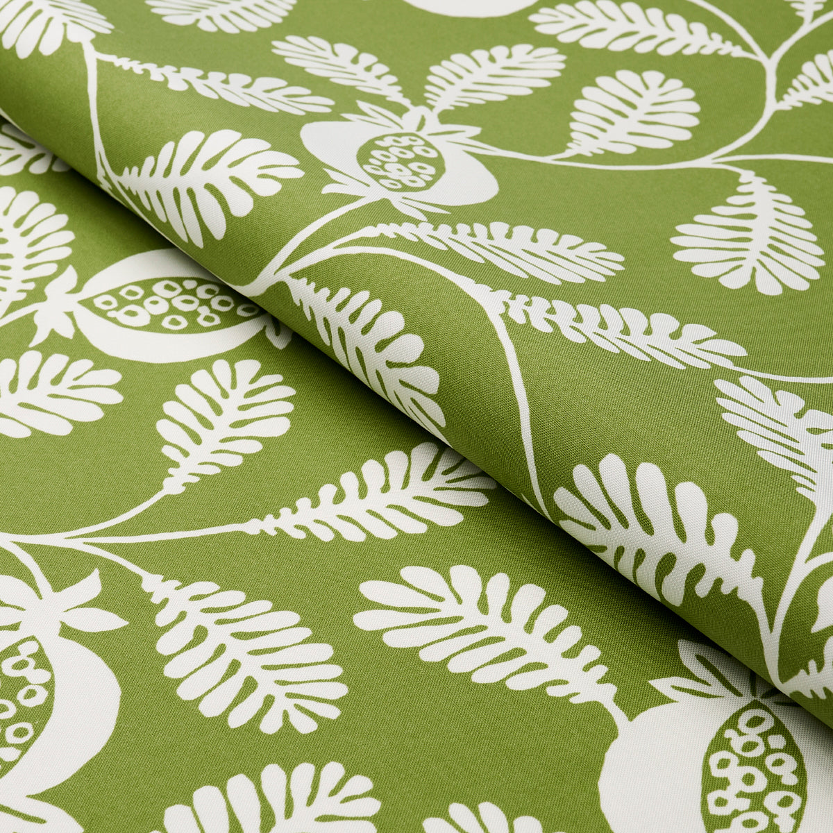 SCHUMACHER  INDOOR/OUTDOOR PRINTS LANZADERA VINE INDOOR/OUTDOOR   Honeydew   - 180991