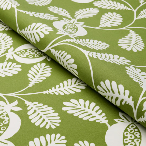 SCHUMACHER  INDOOR/OUTDOOR PRINTS LANZADERA VINE INDOOR/OUTDOOR   Honeydew   - 180991