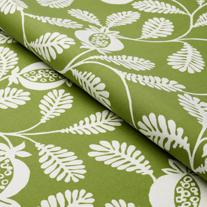 SCHUMACHER  INDOOR/OUTDOOR PRINTS LANZADERA VINE INDOOR/OUTDOOR   Honeydew   - 180991