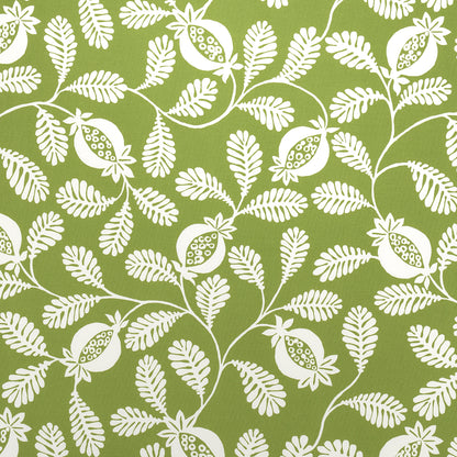 SCHUMACHER  INDOOR/OUTDOOR PRINTS LANZADERA VINE INDOOR/OUTDOOR   Honeydew   - 180991