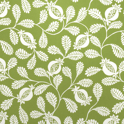 SCHUMACHER  INDOOR/OUTDOOR PRINTS LANZADERA VINE INDOOR/OUTDOOR   Honeydew   - 180991