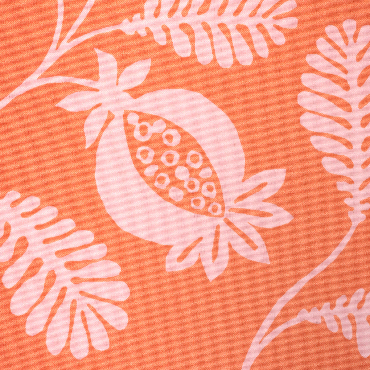 SCHUMACHER  INDOOR/OUTDOOR PRINTS LANZADERA VINE INDOOR/OUTDOOR   Melon   - 180992