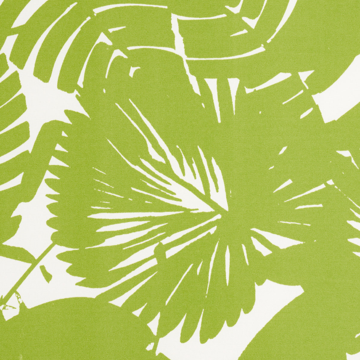 SCHUMACHER  TRINA TURK PALISADES PALM INDOOR/OUTDOOR   Fern   - 181071