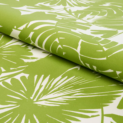 SCHUMACHER  TRINA TURK PALISADES PALM INDOOR/OUTDOOR   Fern   - 181071