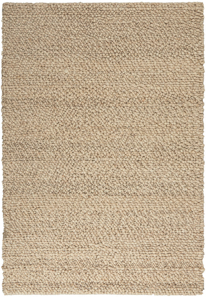 Beige shag rug with dense loop pile; rectangular, cozy floor covering for living rooms or bedrooms.