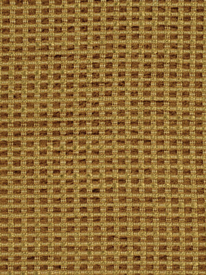 Robert Allen Rock Falls | Mango  Multipurpose     - 181126