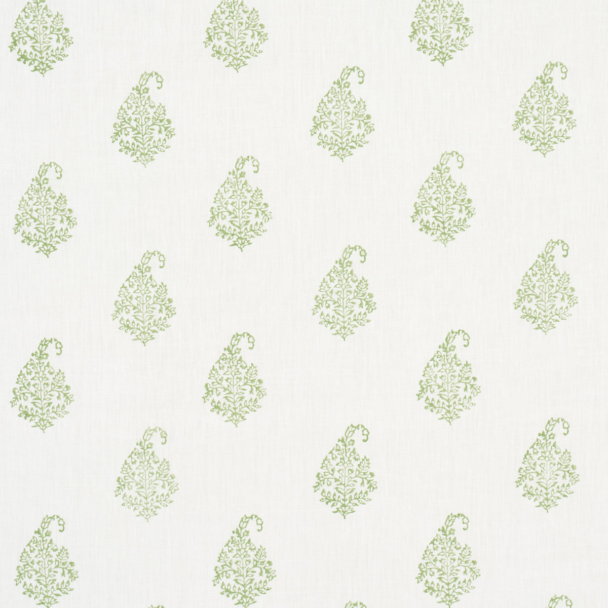 Soft ivory background with repeating pale green ornate leaf damask motifs.
