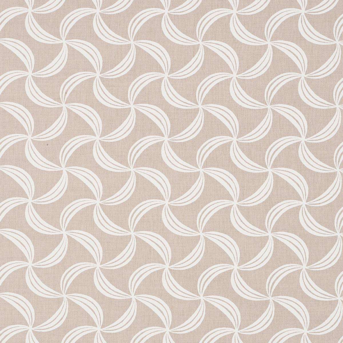 SCHUMACHER  DOMINO EFFECT AMBROSIA   Natural   - 181920