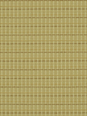 Natural beige woven drapery fabric with tan grid stripes in bamboo/seagrass style.