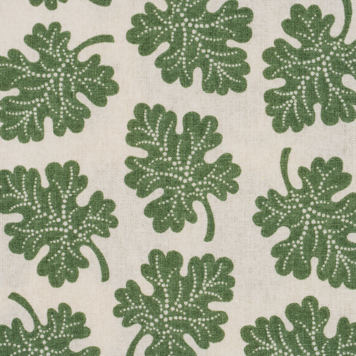 SCHUMACHER  RITA KONIG OLIVE   Green   - 182030