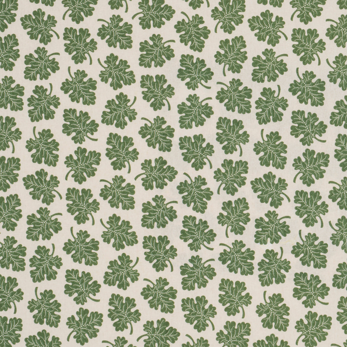 SCHUMACHER  RITA KONIG OLIVE   Green   - 182030