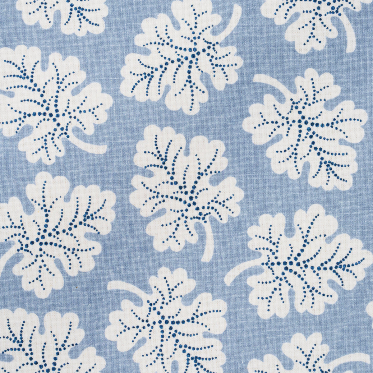 SCHUMACHER  RITA KONIG OLIVE   Sky   - 182032