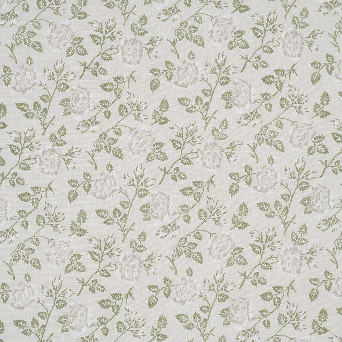 Cream fabric with pale green roses and leafy vines in a vintage botanical print.