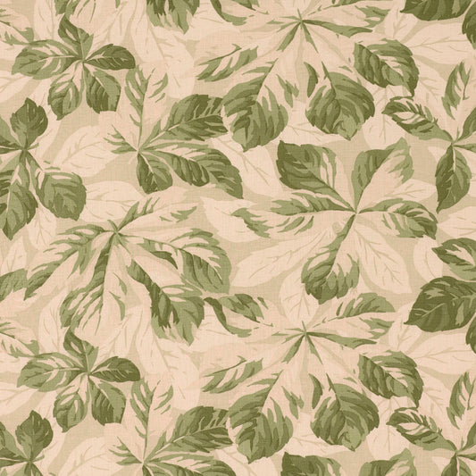 SCHUMACHER  SCHUMACHER CLASSICS ARBOREAL PRINTS PRINTS SAGE   - 182650