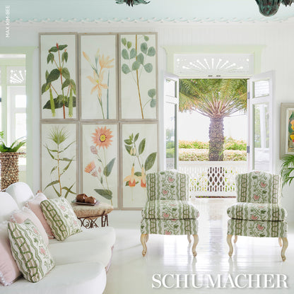 SCHUMACHER  WILLIAMSBURG PARVATI FLORAL STRIPE   Petal   - 182711