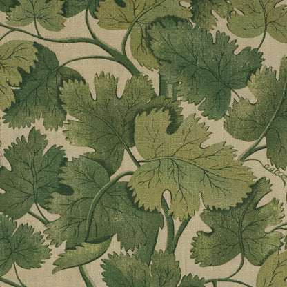 SCHUMACHER  A COUNTRY LIFE EDINBURGH VINE   Moss   - 182790