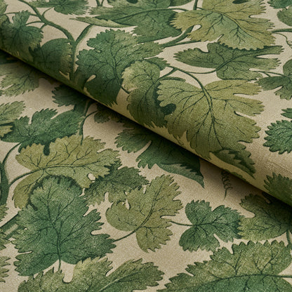 SCHUMACHER  A COUNTRY LIFE EDINBURGH VINE   Moss   - 182790