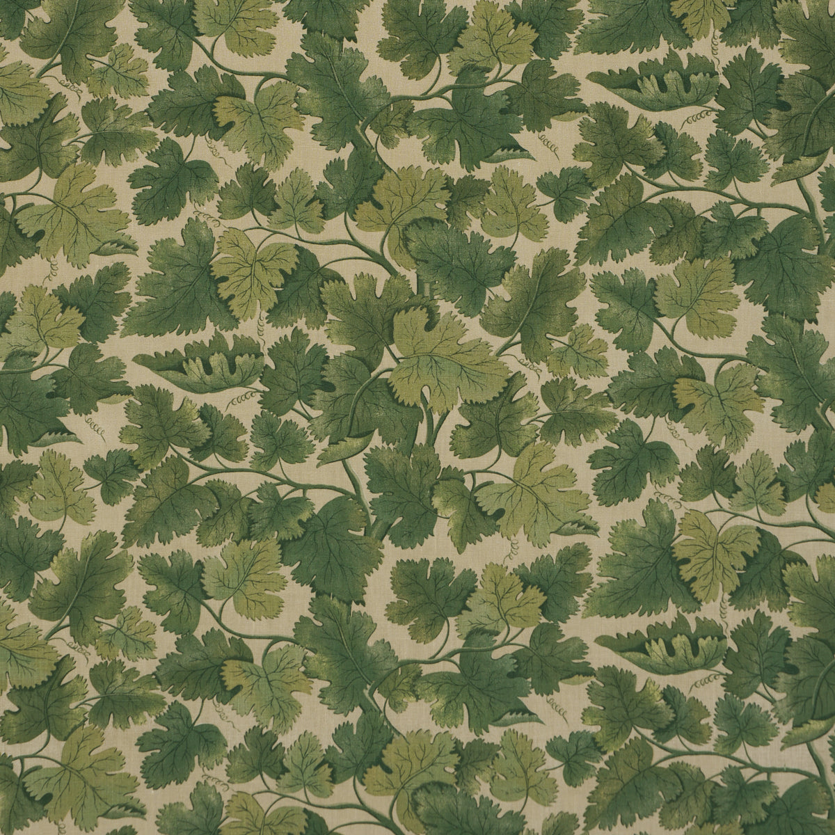 SCHUMACHER  A COUNTRY LIFE EDINBURGH VINE   Moss   - 182790