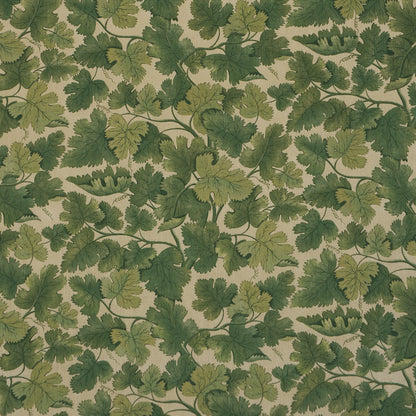 SCHUMACHER  A COUNTRY LIFE EDINBURGH VINE   Moss   - 182790