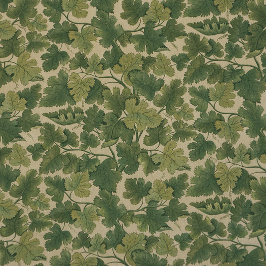 SCHUMACHER  A COUNTRY LIFE EDINBURGH VINE   Moss   - 182790