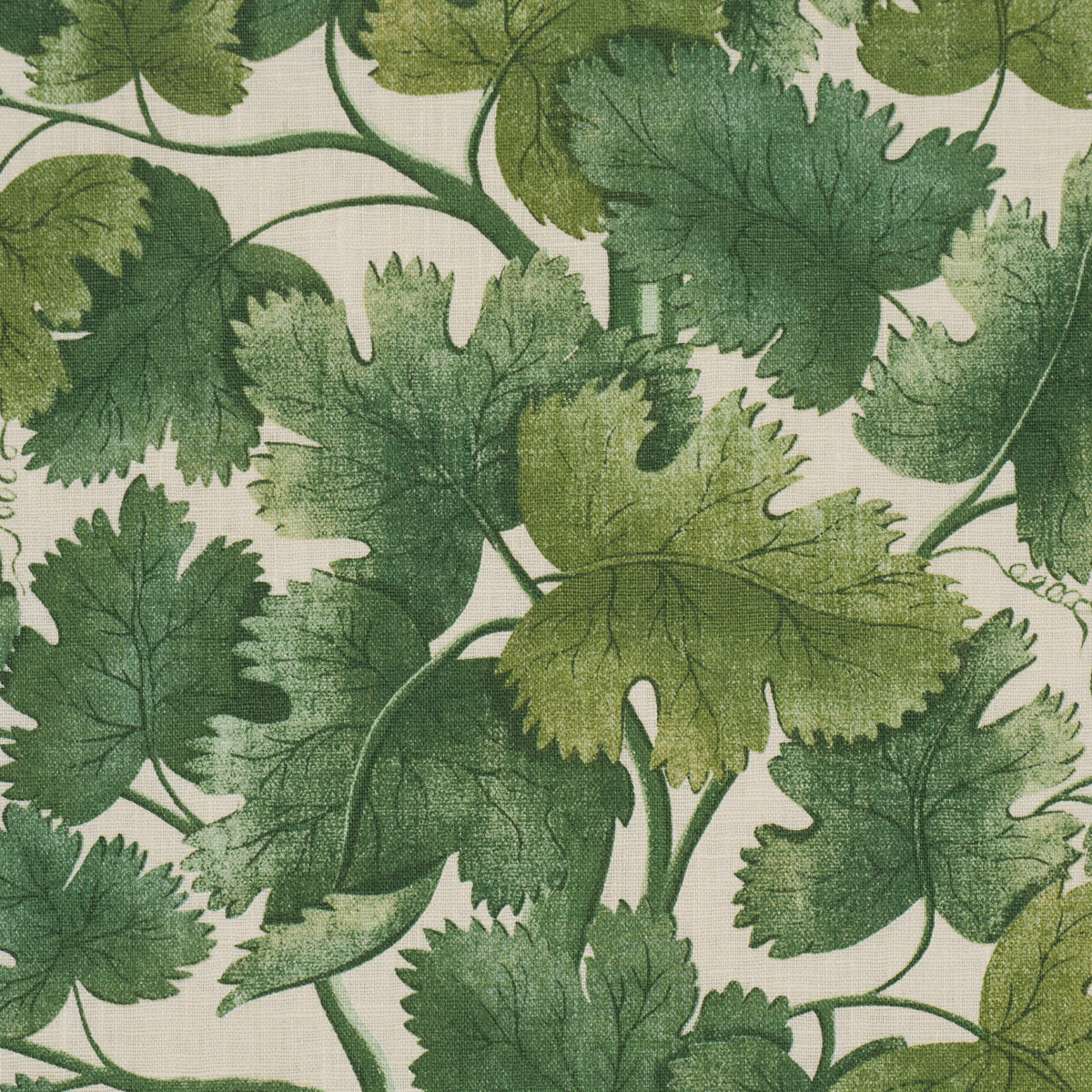 SCHUMACHER  A COUNTRY LIFE EDINBURGH VINE   Forest   - 182791