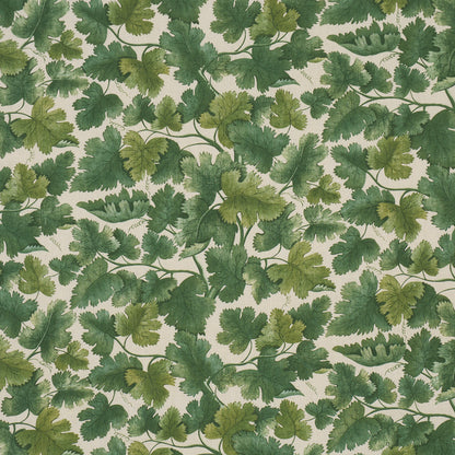 SCHUMACHER  A COUNTRY LIFE EDINBURGH VINE   Forest   - 182791