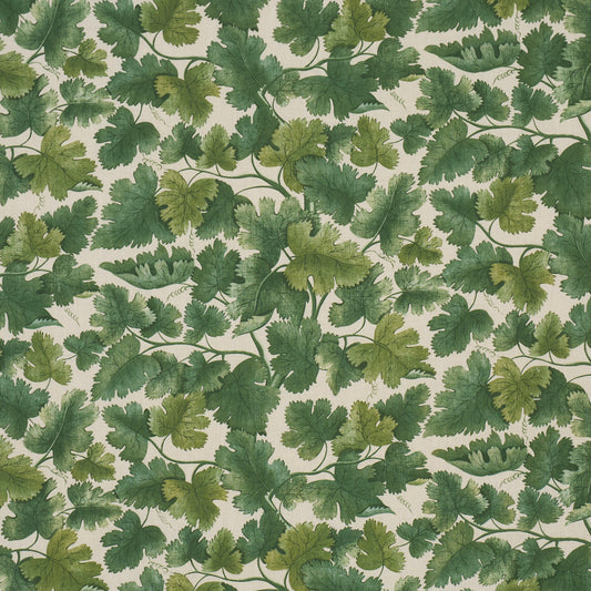 SCHUMACHER  A COUNTRY LIFE EDINBURGH VINE   Forest   - 182791