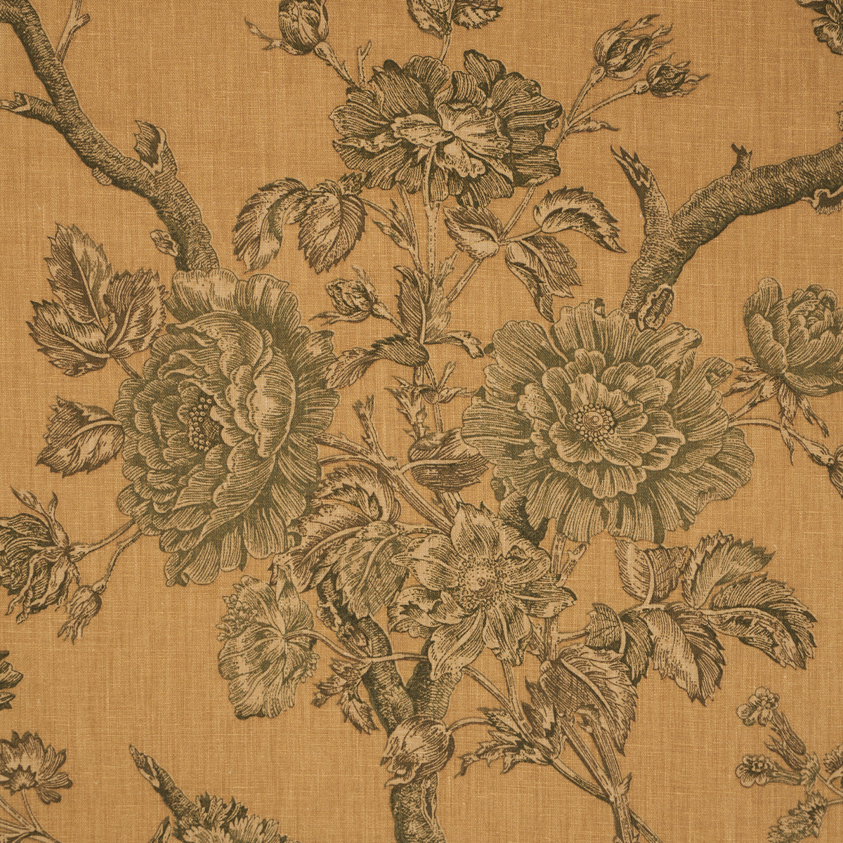 SCHUMACHER  A COUNTRY LIFE INVERNESS GARDEN   Document   - 182830