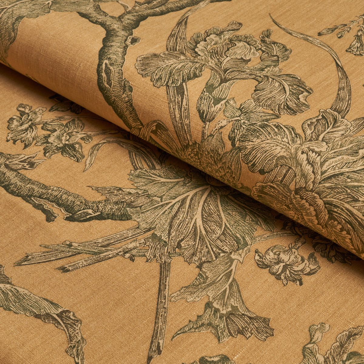 SCHUMACHER  A COUNTRY LIFE INVERNESS GARDEN   Document   - 182830