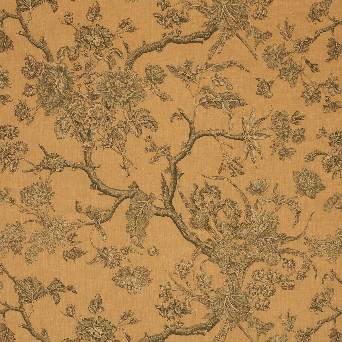 SCHUMACHER  A COUNTRY LIFE INVERNESS GARDEN   Document   - 182830